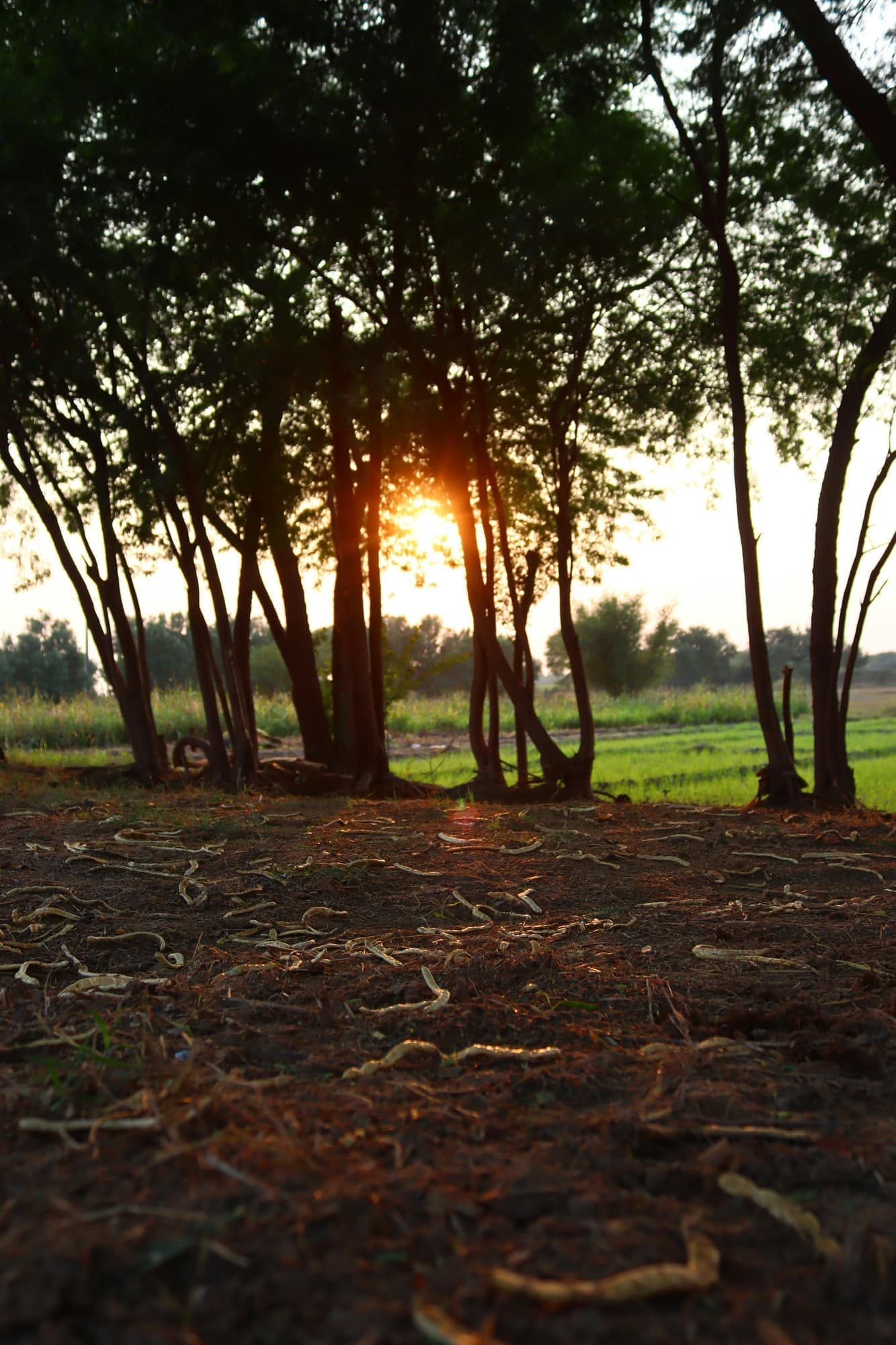 Fixing the Real Problem